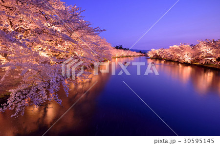 弘前公園のライトアップ 30595145