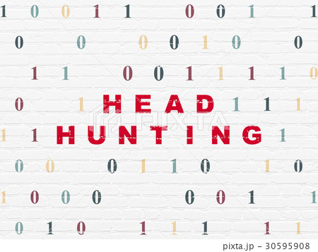 Business concept: Head Hunting on wall background 30595908