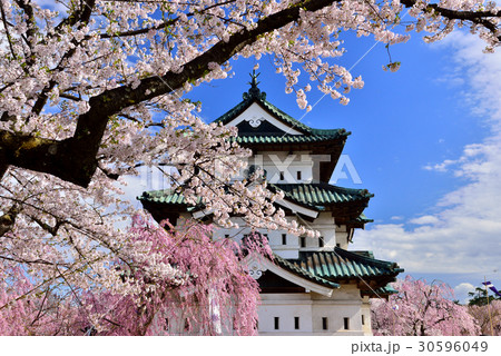 弘前公園の桜 弘前公園の桜 30596049