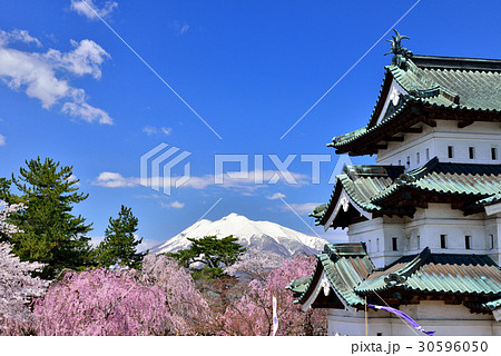 弘前公園の桜 弘前公園の桜 30596050