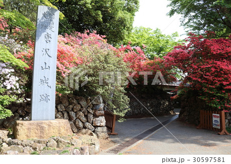 唐沢山城の入り口 30597581