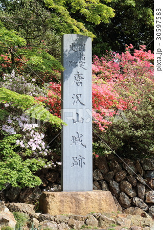 唐沢山城の石碑 30597583