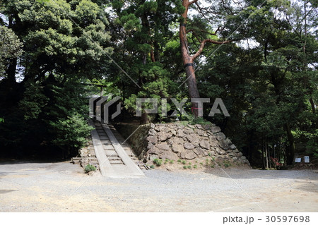 唐沢山城の本丸跡 30597698