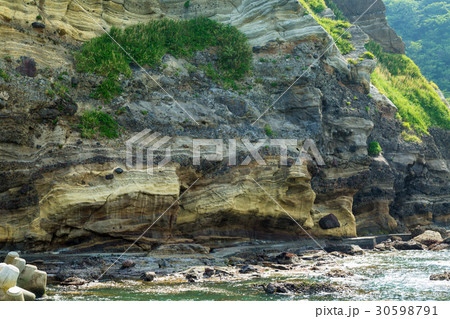 伊豆の地層 30598791