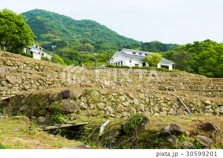 伊豆・石部の棚田 伊豆・石部の棚田 30599201
