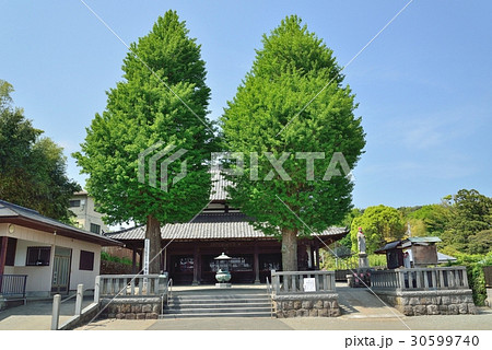 宗福院地蔵堂 30599740