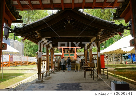 奈良・氷の神様・氷室神社拝殿（参拝者） 30600241