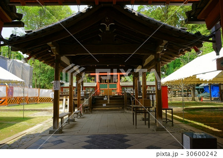 奈良・氷の神様・氷室神社(無人) 奈良・氷の神様・氷室神社(無人) 30600242