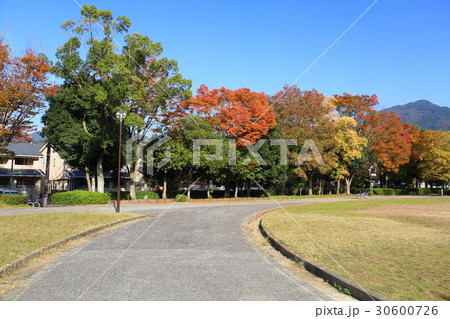 京都 秋の宝が池公園 京都 秋の宝が池公園 30600726