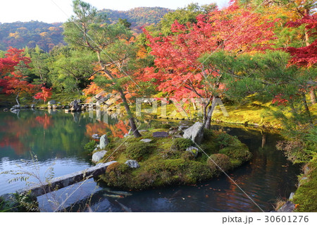 京都　天龍寺　秋の曹源池庭園 30601276
