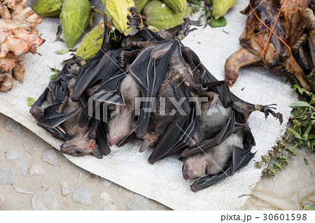Bats at market 30601598