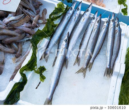 Garfish at market 30601610