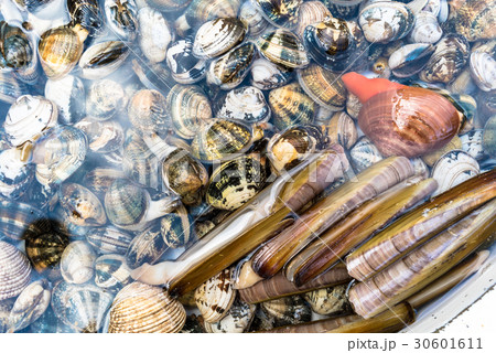 Seafood at market 30601611