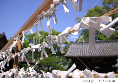 おみくじ 30601630