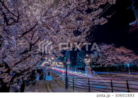 広島市の夜桜4 広島市の夜桜4 30601893