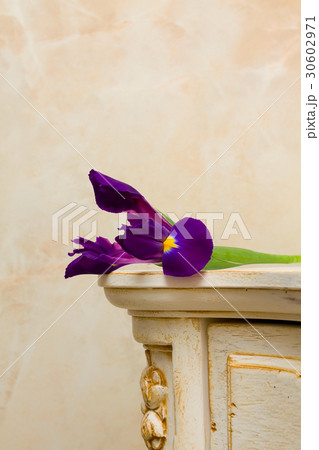 Beautiful background - vintage wooden furniture 30602971