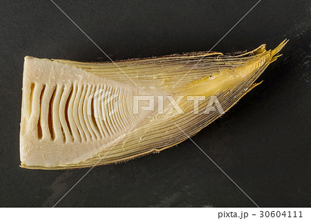たけのこ bamboo shoot たけのこ bamboo shoot 30604111