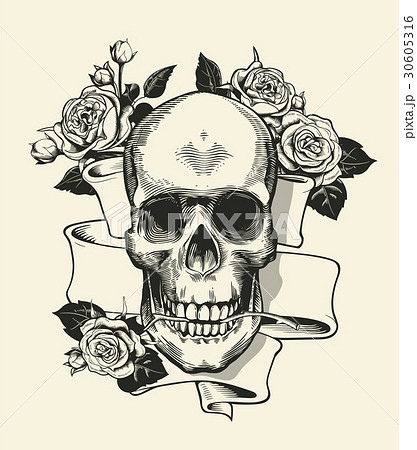 Human skull with rose grasped with jaws and ribbon Human skull with rose grasped with jaws and ribbon 30605316