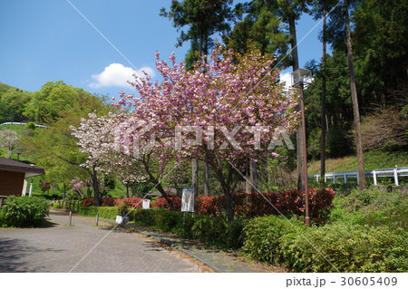 雀川砂防ダム公園 30605409