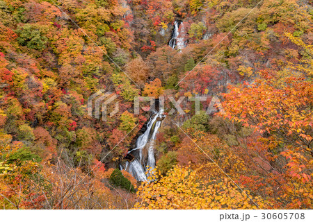 日光 霧降の滝と紅葉 30605708