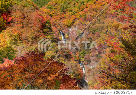 日光 霧降の滝と紅葉 30605717