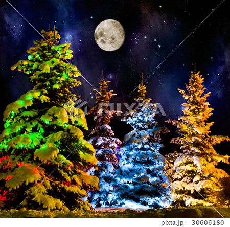 Christmas firtree 30606180