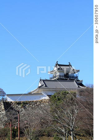 浜松城 30607950