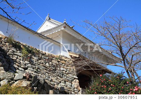 浜松城 浜松城 30607951