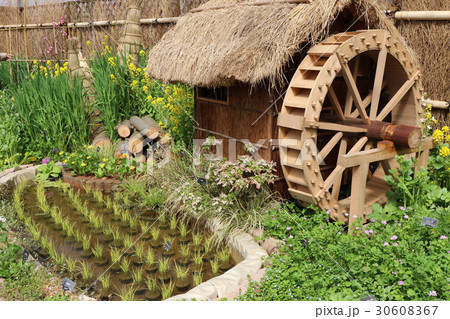 京都府立植物園 30608367