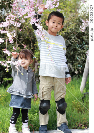 桜と兄妹(7歳と2歳) 30608927