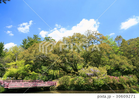 万葉植物園 万葉植物園 30609271