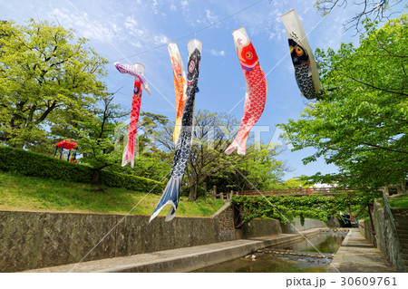 兵庫県西宮 こいのぼりが泳ぐ夙川公園 30609761