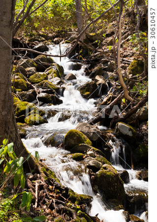 渓流の雪解け 30610457
