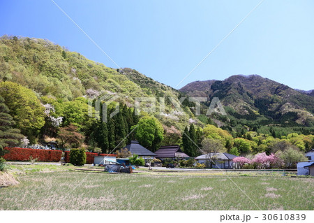 春紅葉の里 春紅葉の里 30610839