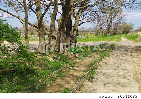 西武安比奈線の廃線跡 30611085