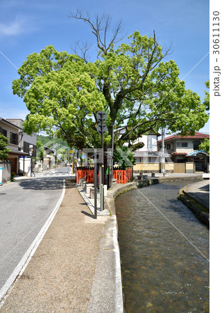 京都 上賀茂風景 明神川 藤木社 30611130