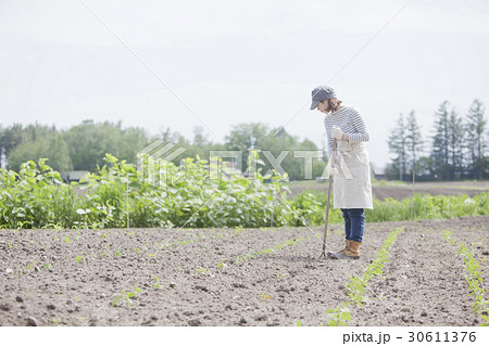 農業女子　家庭菜園 30611376