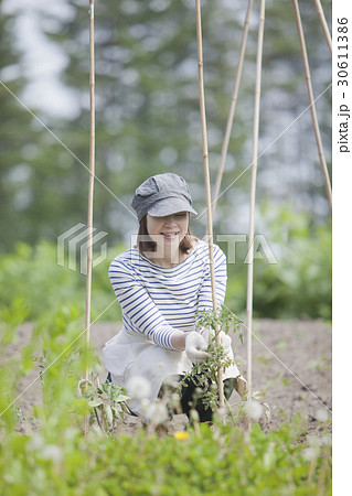 農業女子　家庭菜園 30611386