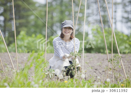農業女子 家庭菜園 農業女子 家庭菜園 30611392