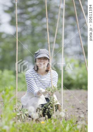 農業女子 家庭菜園 農業女子 家庭菜園 30611394