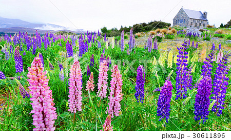 church Good shepherd at lake tekapo 30611896