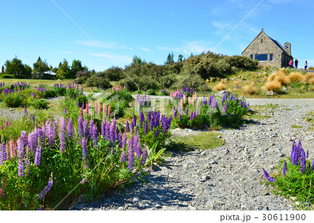 church Good shepherd at lake tekapo 30611900