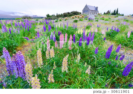 church Good shepherd at lake tekapo 30611901