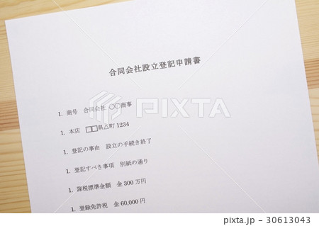 合同会社 会社登記 30613043