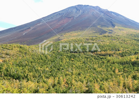 富士山　五合目　静岡側 30613242