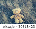 Teddy bear on the grass. Toned image 30613423