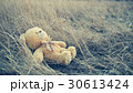 Teddy bear on the grass. Toned image 30613424