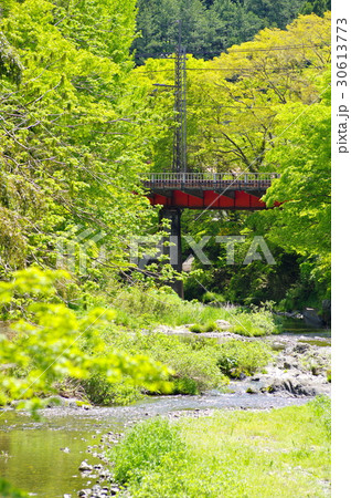 萌える新緑に掛かる赤い鉄道橋　タテ a　橋右寄せ 30613773