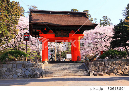 恵林寺の赤門から境内を眺める 恵林寺の赤門から境内を眺める 30613894