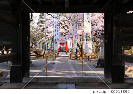 恵林寺の山門から境内を眺める 30613896